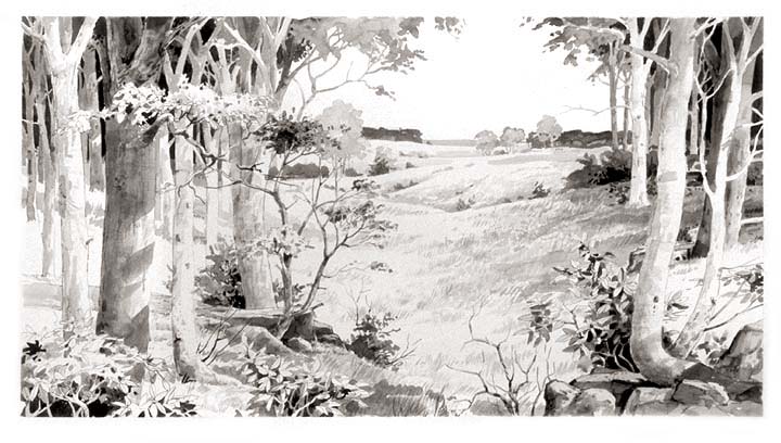 Wooded scene looking out over partially open fields