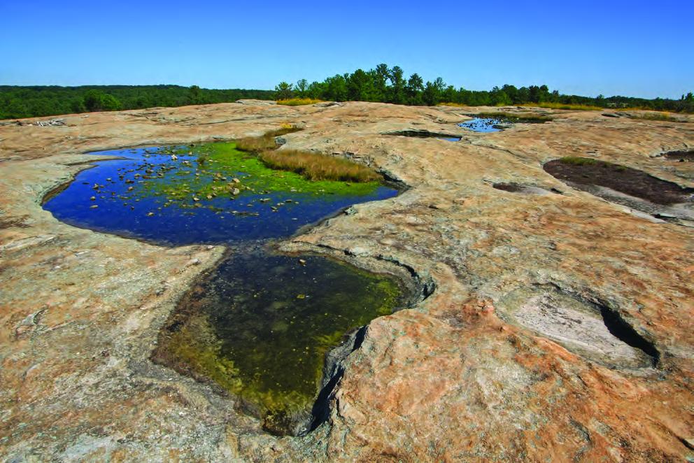 Solution pits, Davidson-Arabia Mountain Nature Preserve, DeKalb County