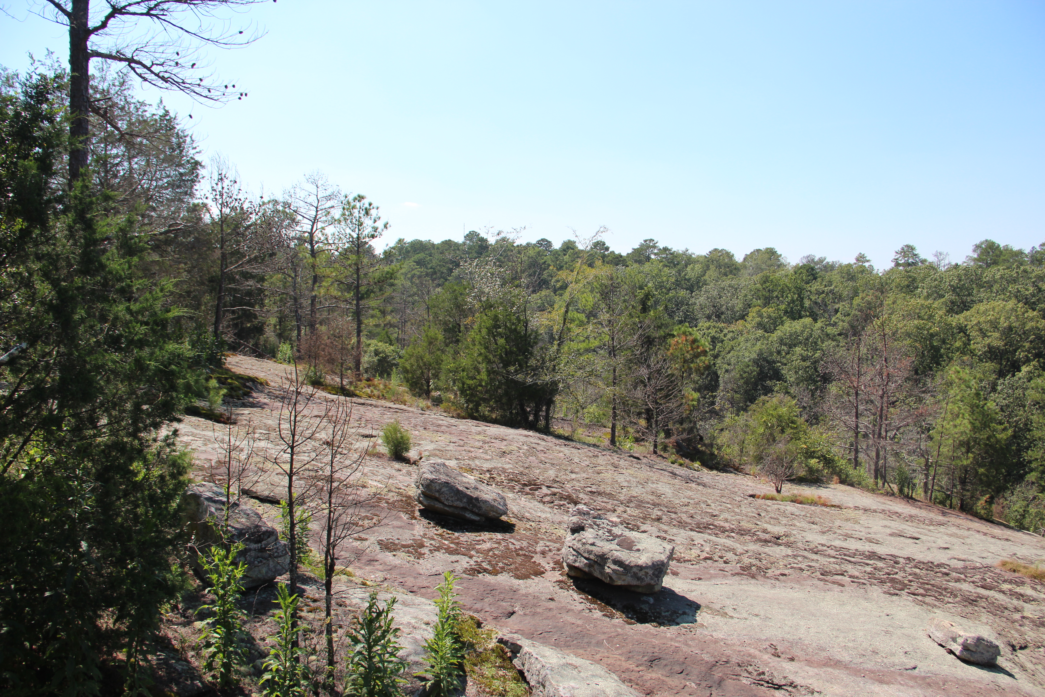 Rock outcrop at Panola Mountain State Park