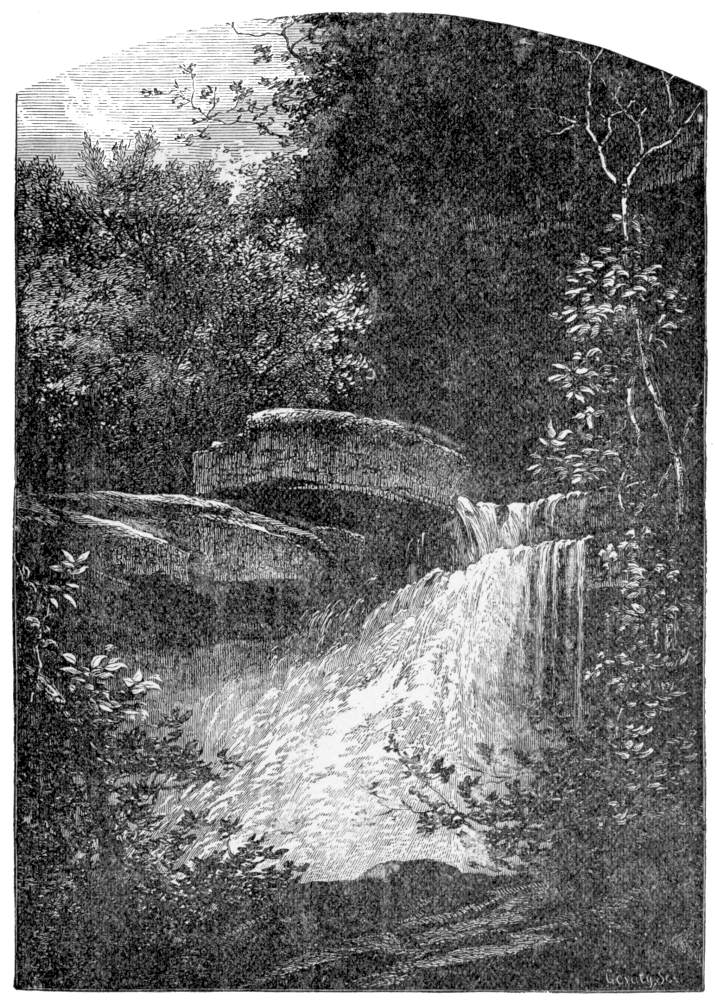 Watauga Falls