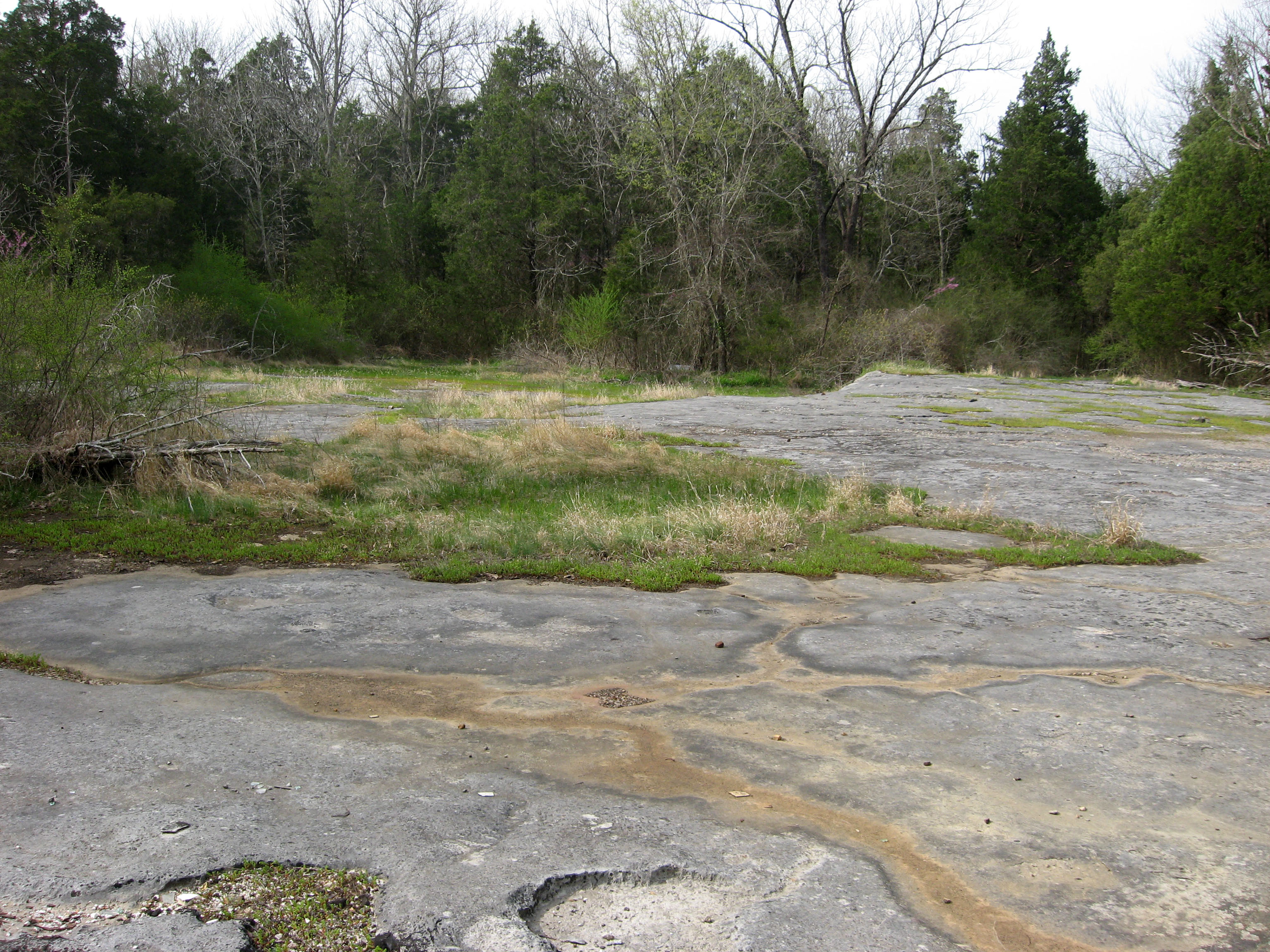 Cedar glade in the Pennyroyal Plain, Simpson County