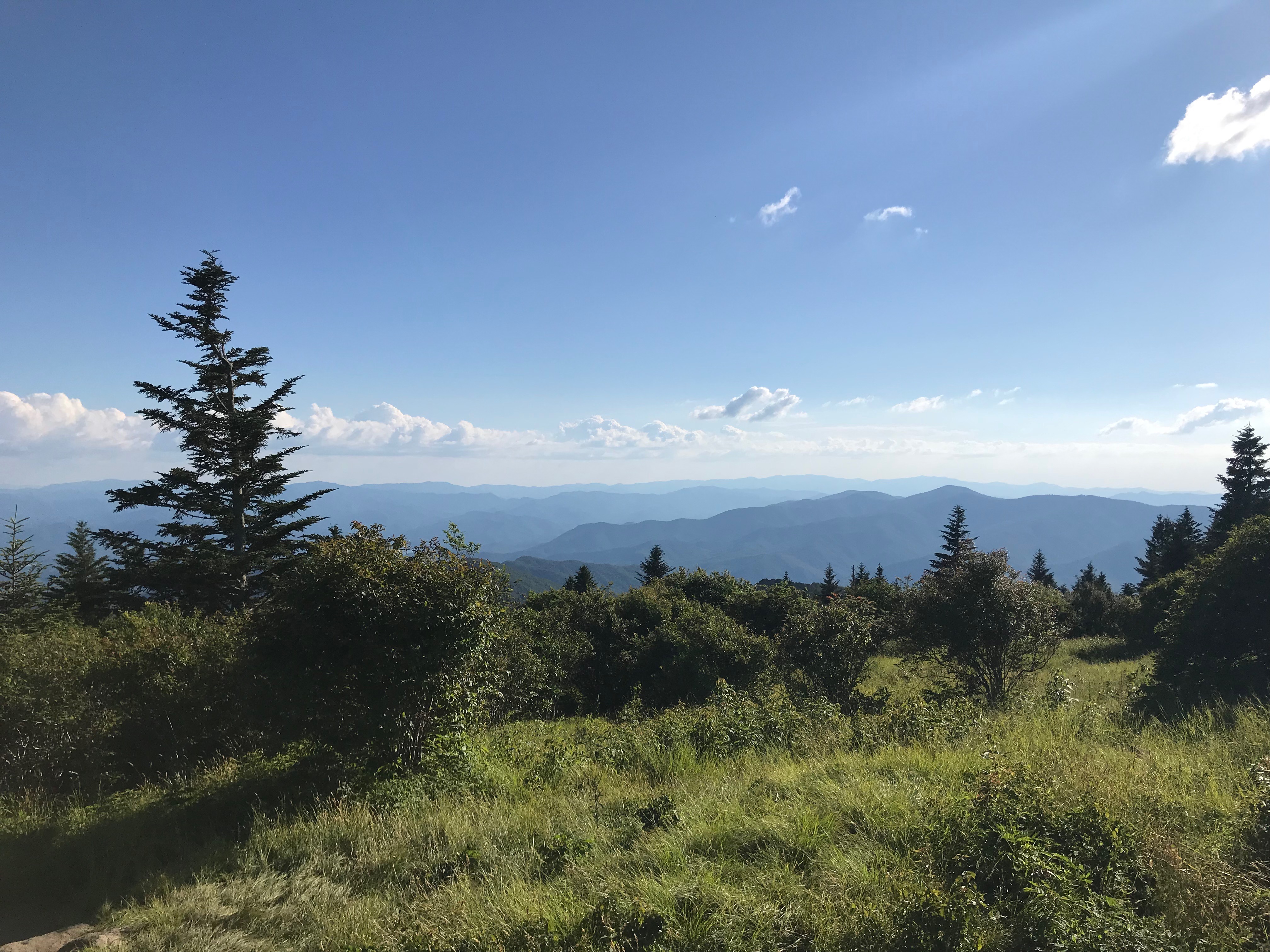 Andrews Bald, Forney Ridge Trail, July 2020