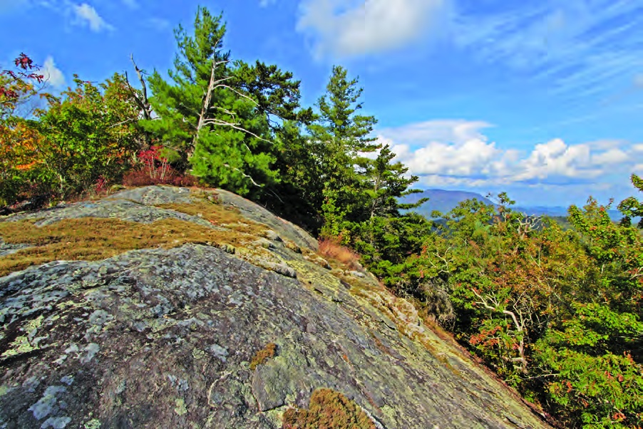 Sassafras Mountain rock outcrop