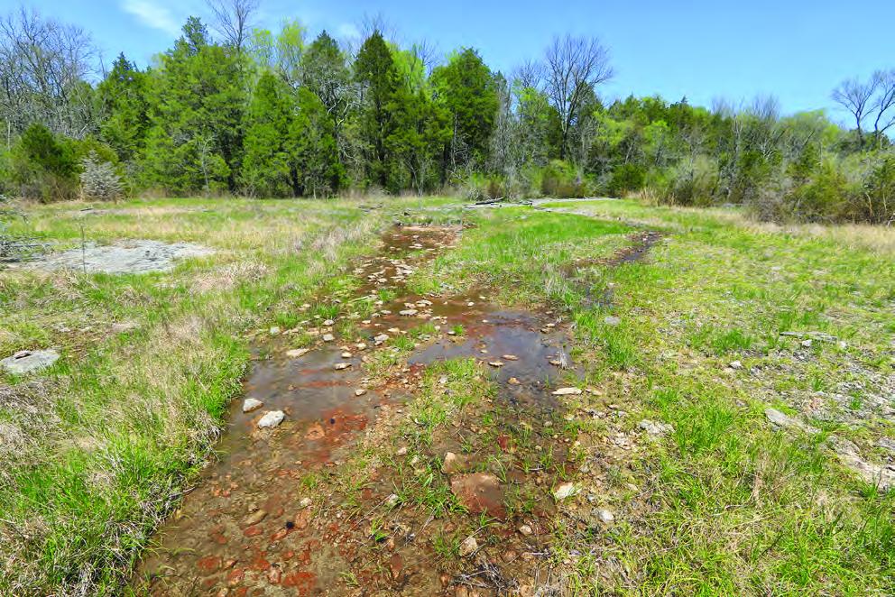 Standing water, Flat Rock Cedar Glades and Barrens SNA, Rutherford County