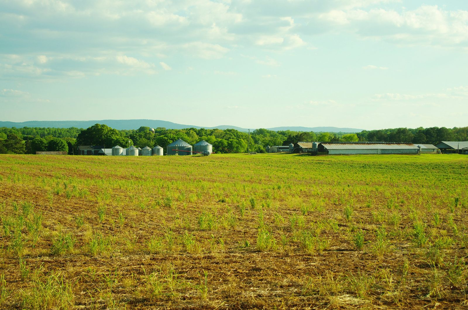Old-Salem-fields-tn1