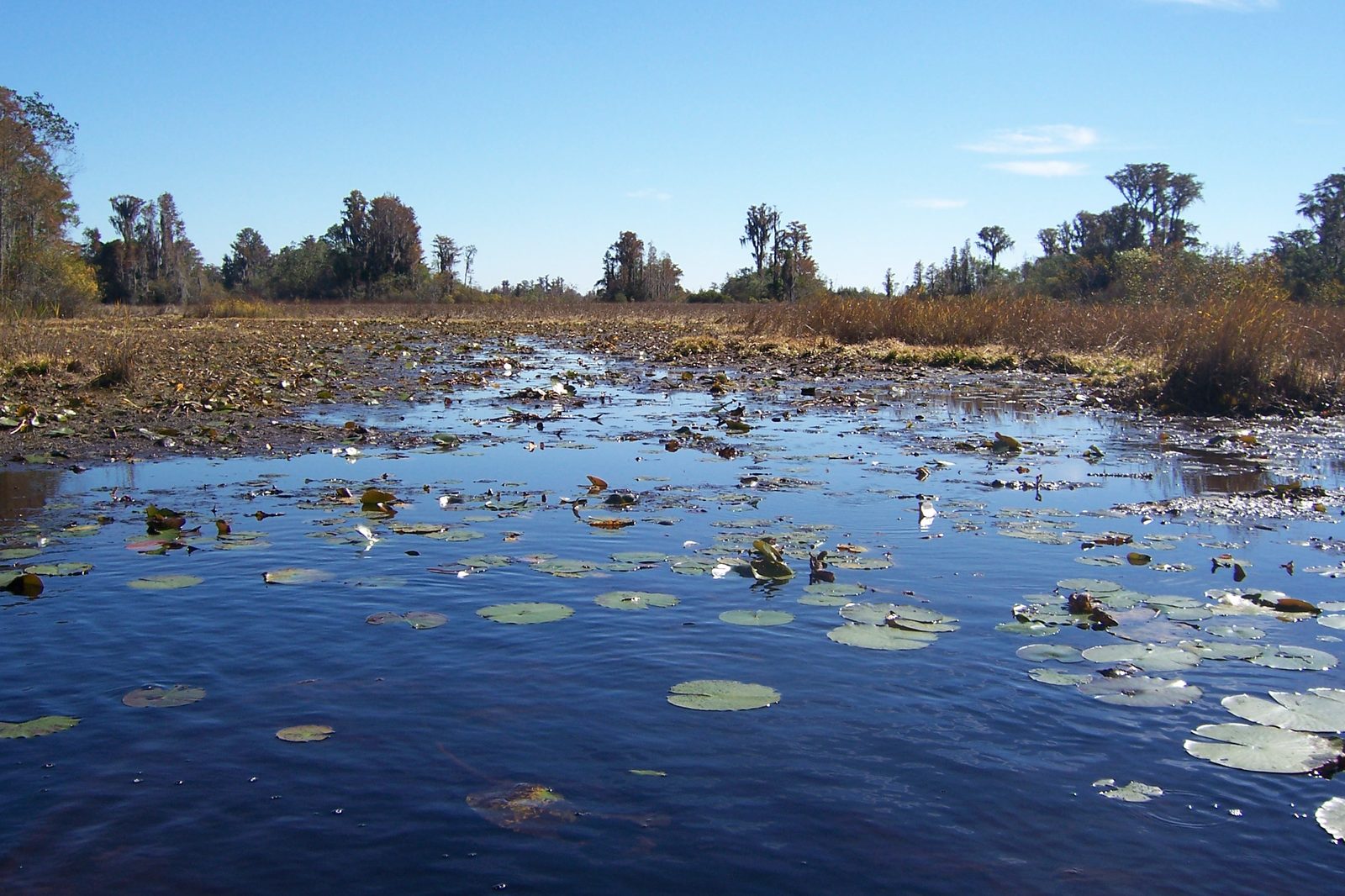 Chase Prairie at low water (5178699859)