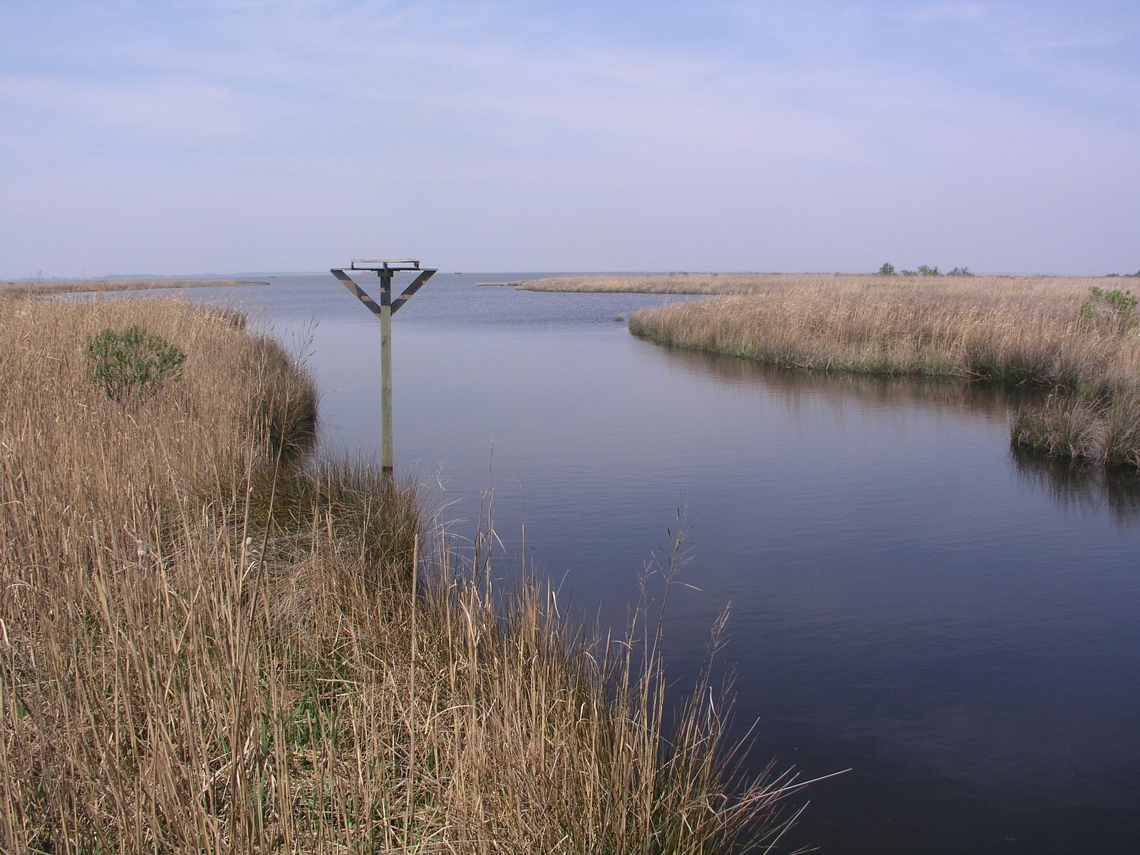 Currituck Sound (4662743561)