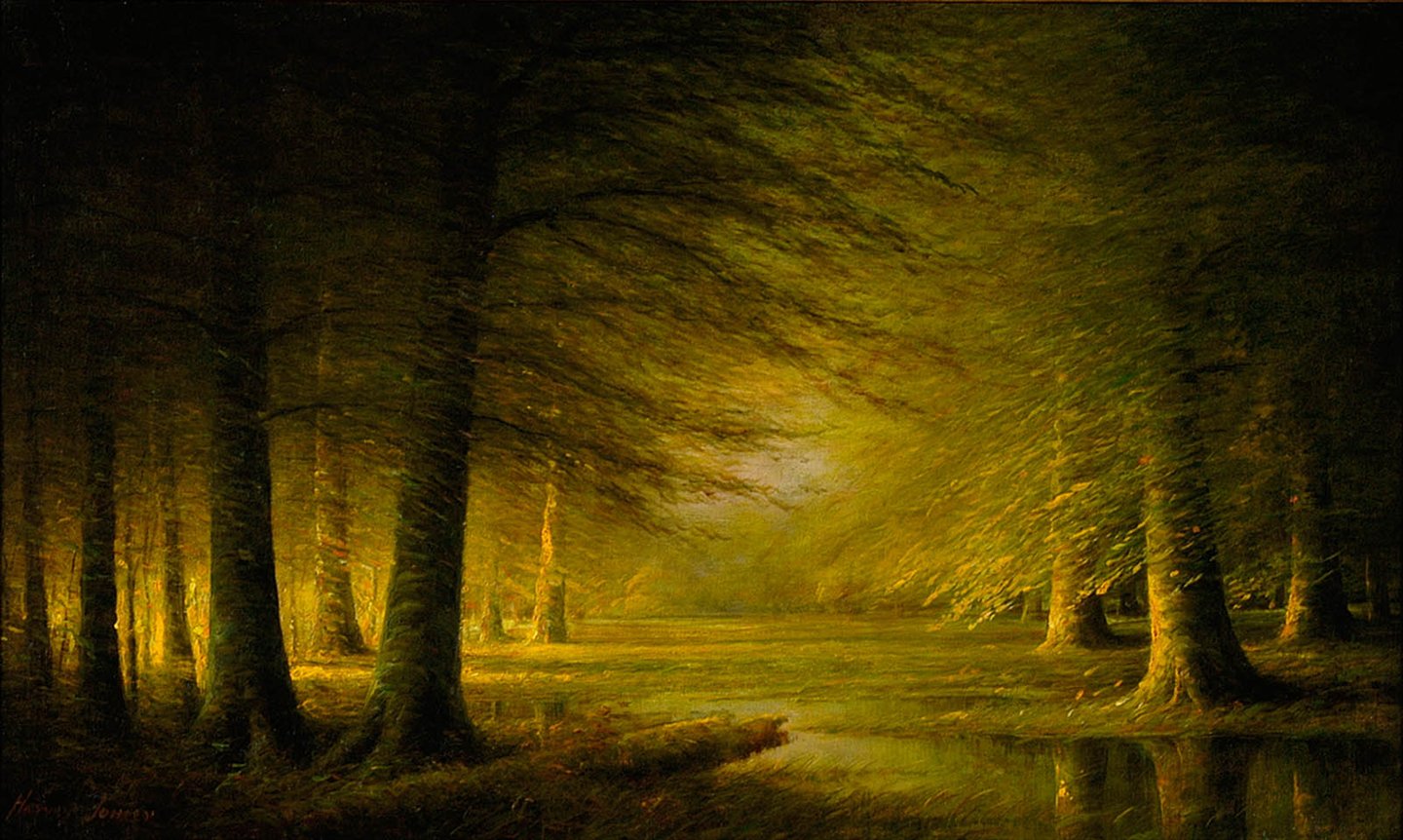 Woods Scene