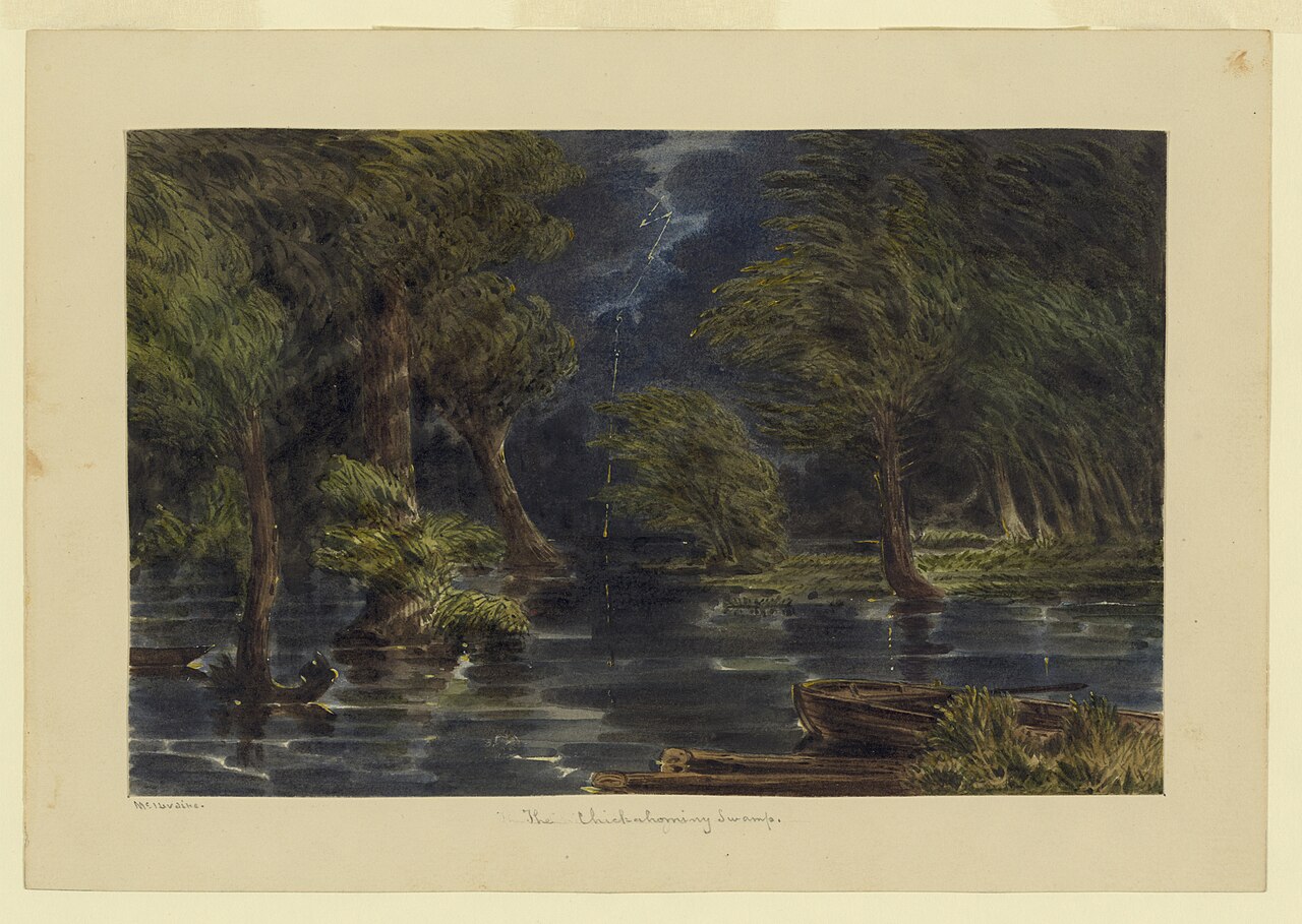 The Chickahominy Swamp LCCN2004661405